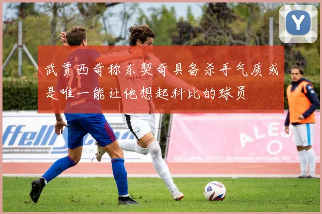 武贾西奇称东契奇具备杀手气质或是唯一能让他想起科比的球员