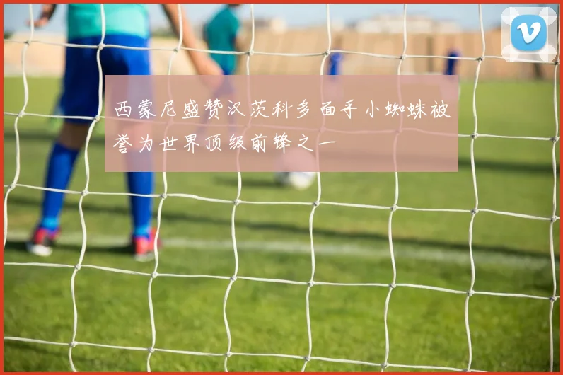 西蒙尼盛赞汉茨科多面手小蜘蛛被誉为世界顶级前锋之一