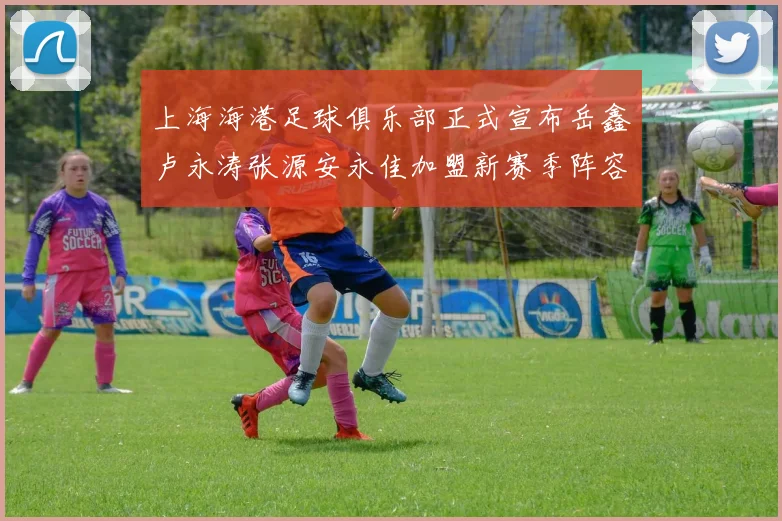 上海海港足球俱乐部正式宣布岳鑫卢永涛张源安永佳加盟新赛季阵容更新