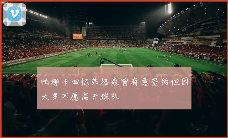 帕柳卡回忆弗格森曾有意签约但因大罗不愿离开球队