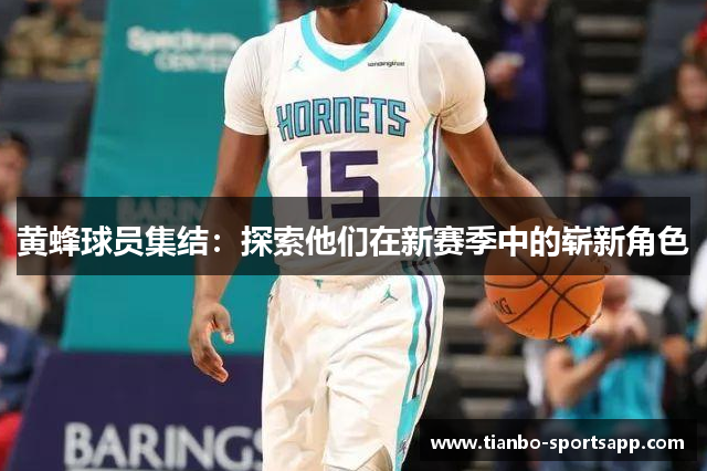 黄蜂球员集结：探索他们在新赛季中的崭新角色