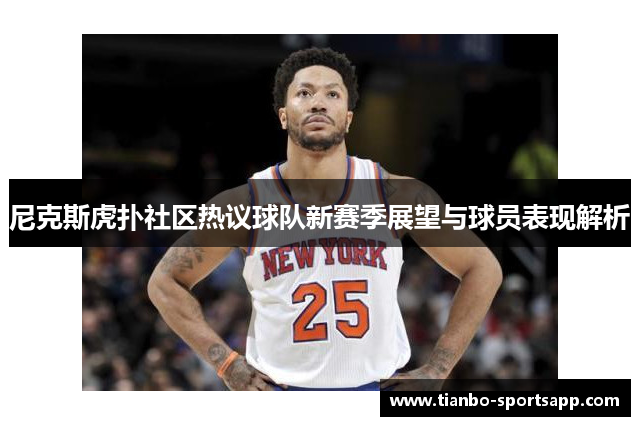 尼克斯虎扑社区热议球队新赛季展望与球员表现解析