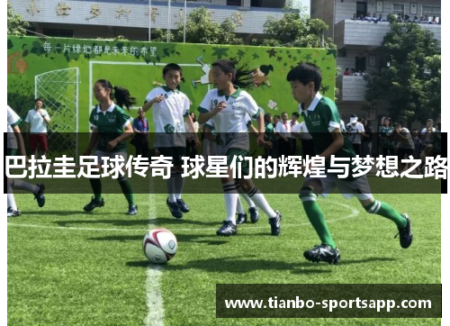 巴拉圭足球传奇 球星们的辉煌与梦想之路