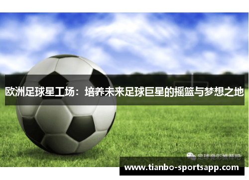 欧洲足球星工场：培养未来足球巨星的摇篮与梦想之地